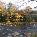 315-2496-2499 Fall Colors by the River.jpg